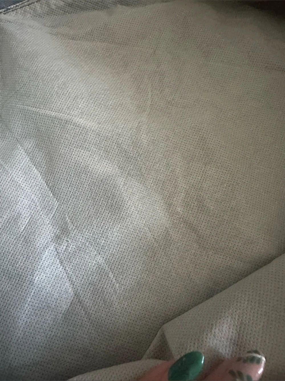 Cricut carrying bag
